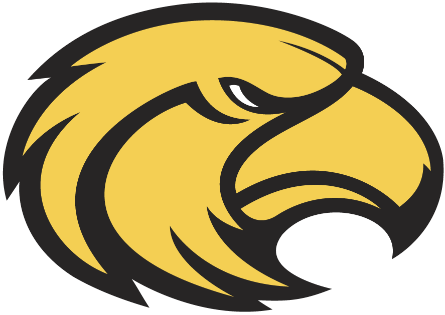 Southern Miss Golden Eagles 2003-2014 Secondary Logo DTF decal sticker